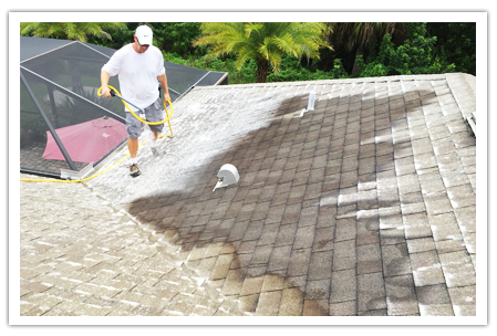 Soft Wash no pressure roof cleaning